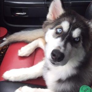 Meet your Posher, Brandon